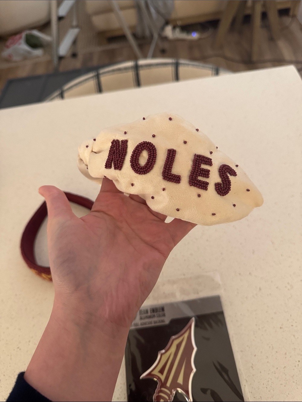 FSU Accessory Bundle - Picture 3 of 8